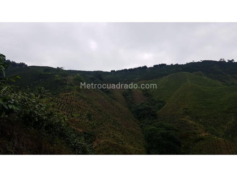 Casa – Manizales - Vista 2