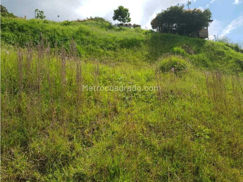 Lote en Venta, Los Balsos Poblado, Medellín - Vista 4