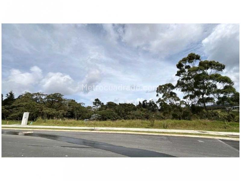 Lote en Venta, Alto Las Palmas, Envigado - Vista 4