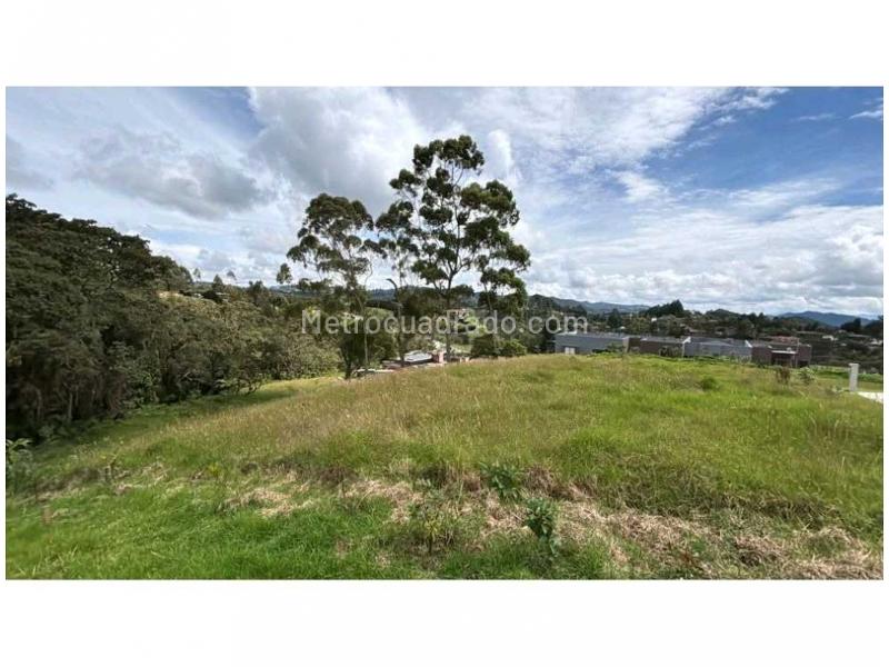 Lote en Venta, Alto Las Palmas, Envigado - Vista 5