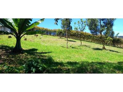 Casa de 3 alcobas en venta en Alto Las Palmas, Envigado · foto 7 de 13