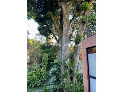 Casa en venta en Loma De Las Brujas, Envigado · foto 15 de 20