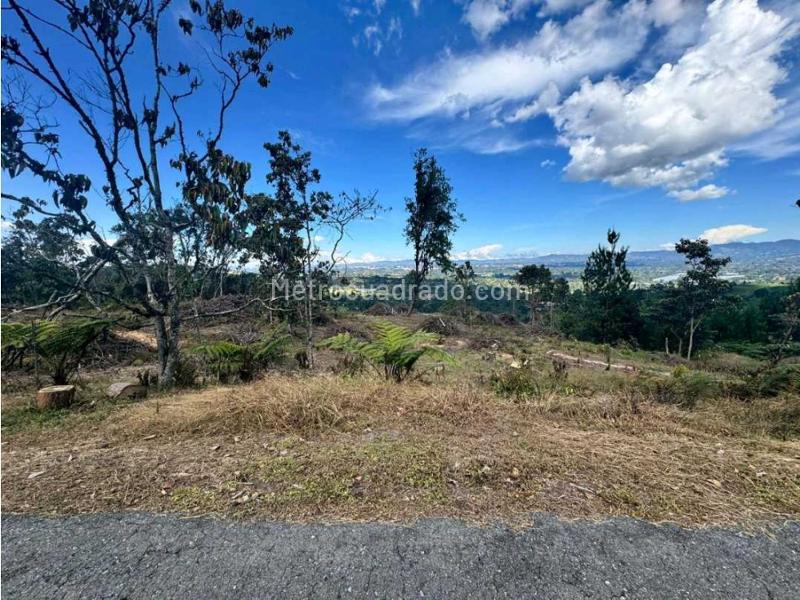Lote en Venta, Llanogrande, Rionegro - Vista 2