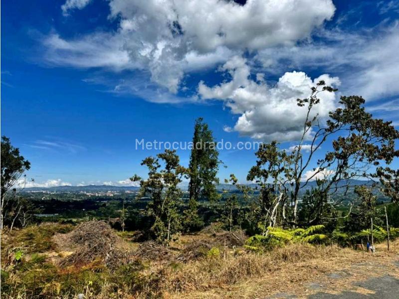 Lote en Venta, Llanogrande, Rionegro - Vista 4