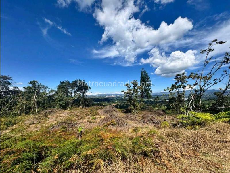 Lote en Venta, Llanogrande, Rionegro - Vista 5
