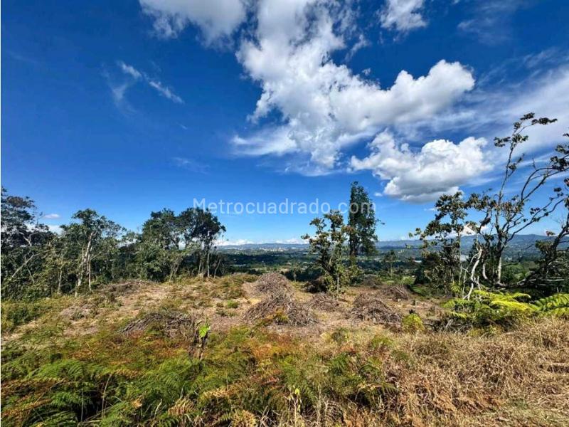 Lote en Venta, Llanogrande, Rionegro - Más