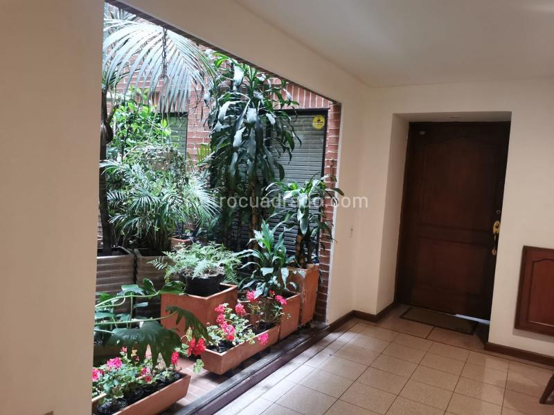 Piso – Bogotá D.C. - Más