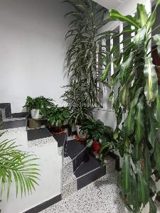 Casa de 5 alcobas en venta en La Gaitana, Bogotá, 216 m² · foto 19 de 20