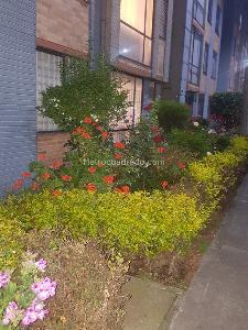 Apartamento en venta en El Cortijo, Bogotá · foto 3 de 17