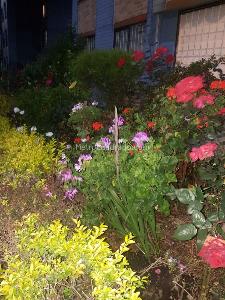 Apartamento en venta en El Cortijo, Bogotá · foto 4 de 17
