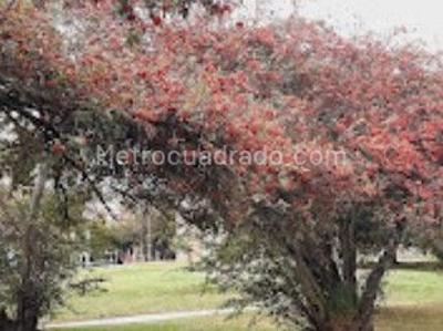 Apartamento en venta en Mirandela, Bogotá · foto 3 de 17