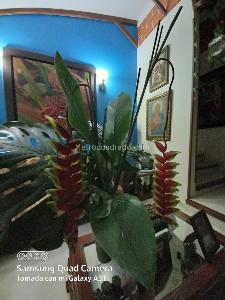 Casa de 4 alcobas en venta en El Tigre, Pereira, 1250 m² · foto 16 de 20