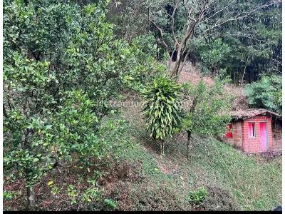 Casa en venta en Loma Del Escobero, Envigado · foto 14 de 16