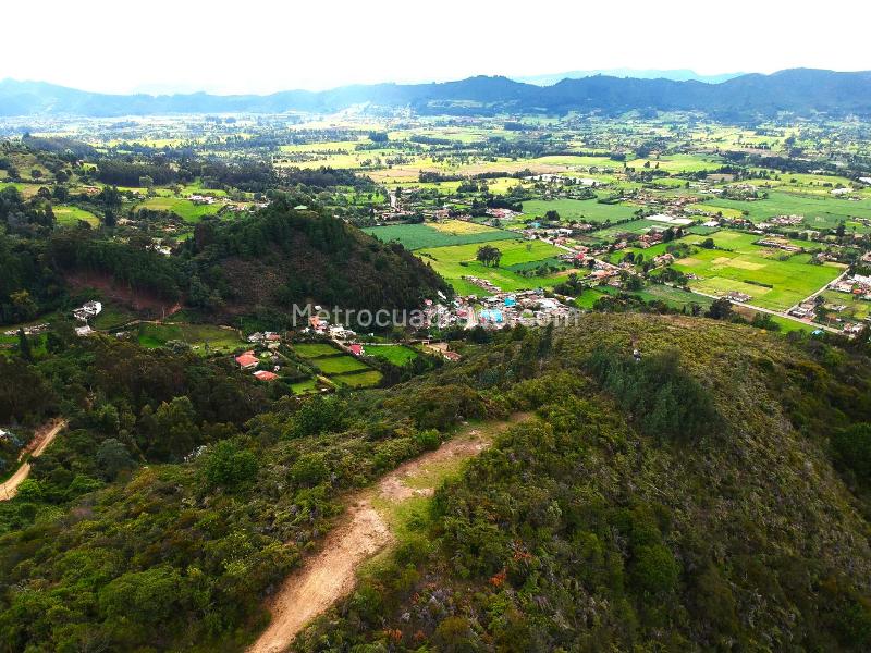 Lote en Venta, Vereda Pan de Azúcar Tenjo, Tenjo - Widok 6