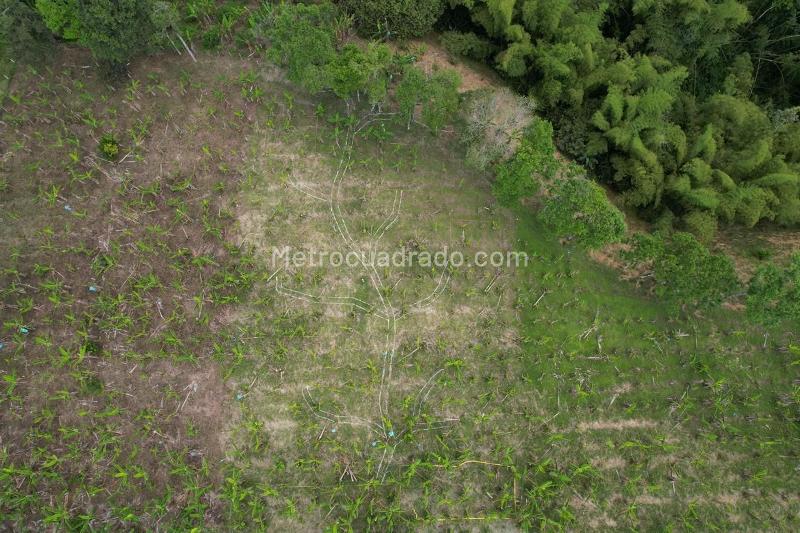 Lote en Venta, MONTENEGRO, Armenia - Vista 2