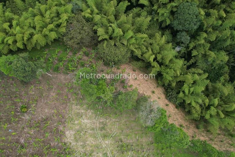 Lote en Venta, MONTENEGRO, Armenia - Vista 3