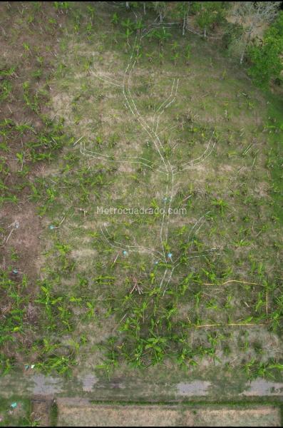 Lote en Venta, MONTENEGRO, Armenia - Vista 4