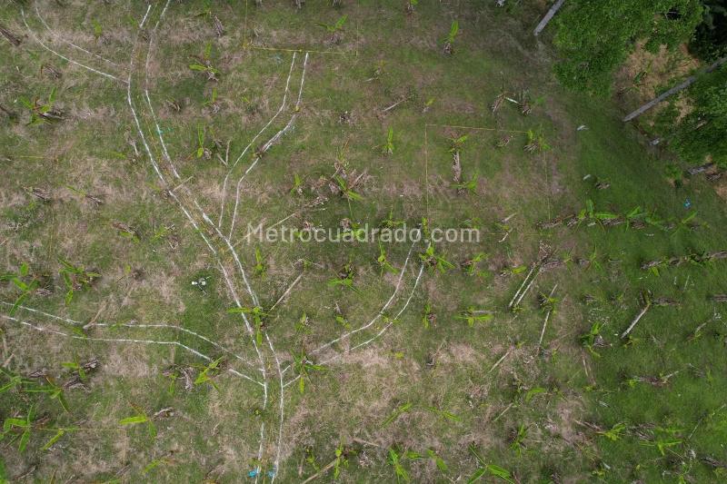Lote en Venta, MONTENEGRO, Armenia - Más