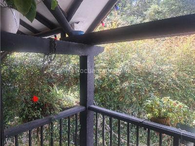 Casa de 3 alcobas en venta en Llanogrande, Rionegro, 600 m² · foto 11 de 20