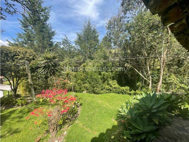 4BR Finca in Alto De Las Palmas (10000 m²) - 2