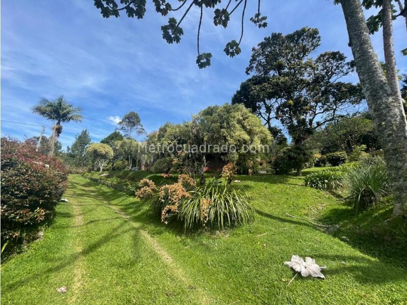 4BR Finca in Alto De Las Palmas (10000 m²) - 3