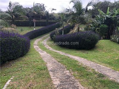 Casa de 3 alcobas en venta en El Carmen, Rionegro, 360 m² · foto 15 de 16