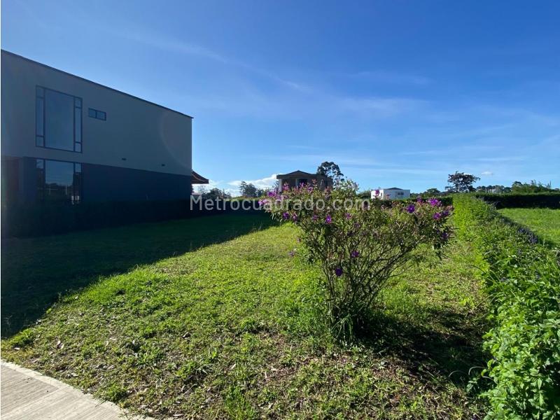 Lote en Venta, Llanogrande, Rionegro - Vista 3