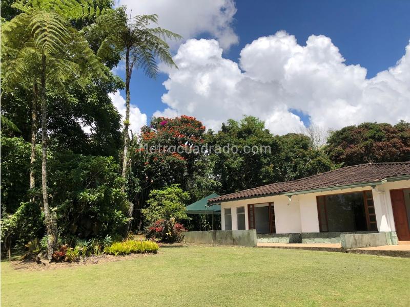 Local Comercial en Arriendo, El Tablazo, Rionegro - Vista 4