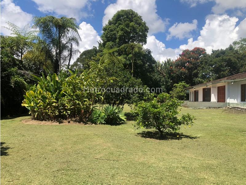 Local Comercial en Arriendo, El Tablazo, Rionegro - Vista 5