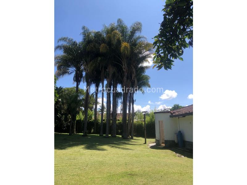 Local Comercial en Arriendo, El Tablazo, Rionegro - Más