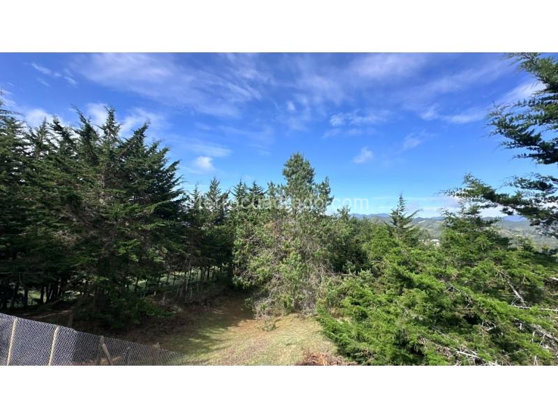 Casa en Arriendo, Via Don Diego, Retiro - 2