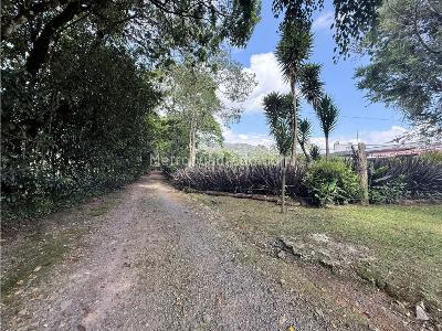 Casa de 4 alcobas en arriendo en Via La Ceja, Rionegro · foto 8 de 12