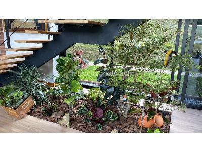Casa de 5 alcobas en venta en Via Don Diego El Retiro, Rionegro · foto 3 de 20