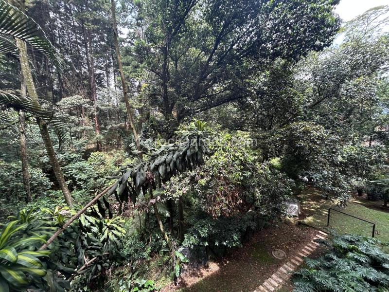 Hermoso Apartamento de 2 Alcobas con Balcón en El Tesoro - 8