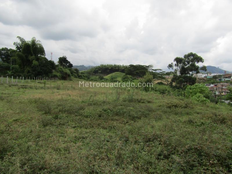 Lote en Venta, La Sultana, Dosquebradas - Vista 5