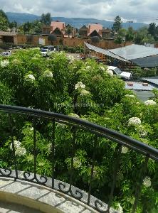 Casa de 5 alcobas en venta en San Jose De Bavaria, Bogotá, 480 m² · foto 4 de 8