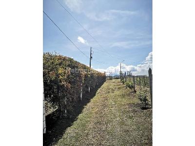 Apartamento de 2 alcobas en venta en Rionegro, Rionegro · foto 14 de 15