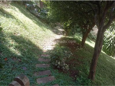 Apartamento en venta en Los Balsos, Medellín · foto 16 de 20
