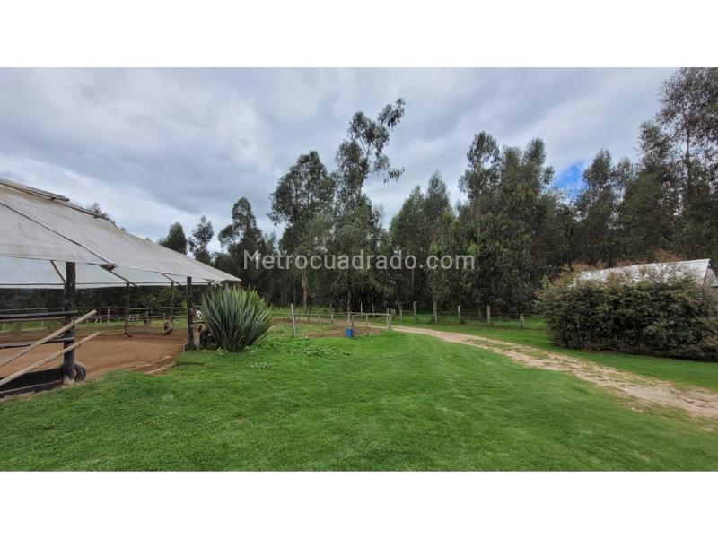 Lote en Venta, Fagua, Chía - Vista 3