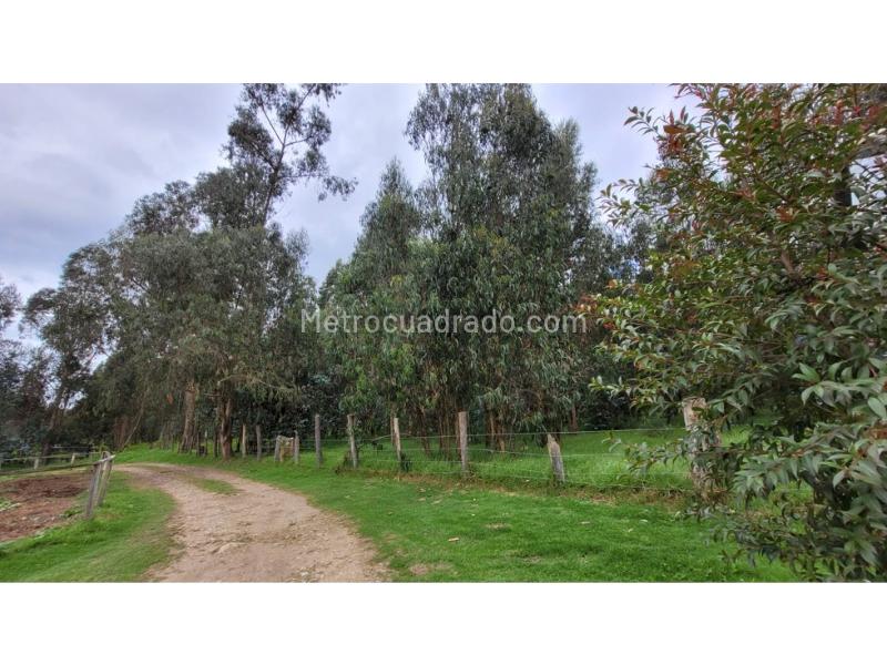 Lote en Venta, Fagua, Chía - Vista 5