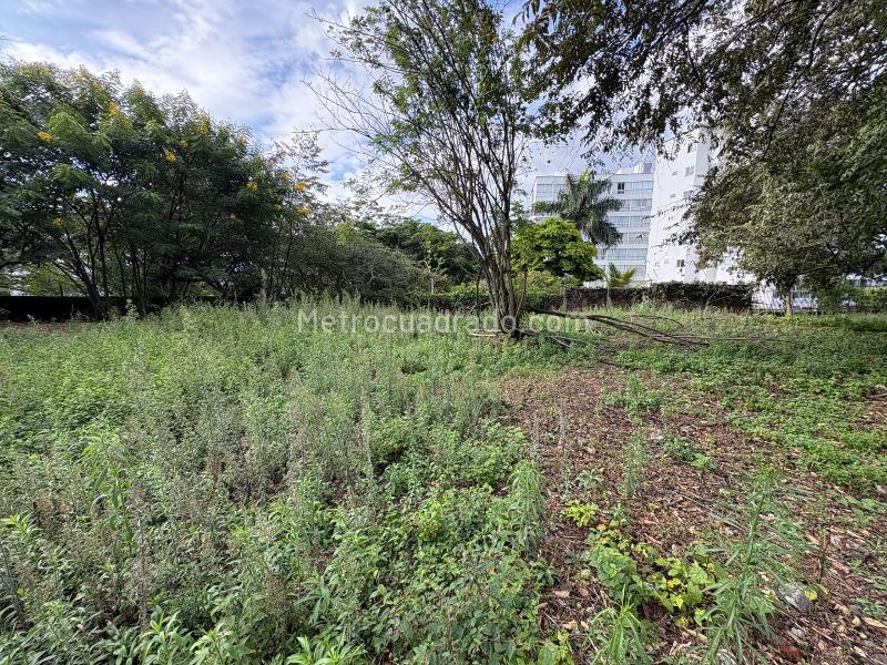 Lote en Venta, Ciudadela Terranova, Jamundi - Vista 4