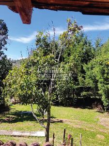 Casa de 3 alcobas en venta en Santa Elena, Medellín, 1000 m² · foto 2 de 20