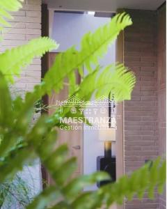 Apartamento en venta en Castropol, Medellín · foto 16 de 16