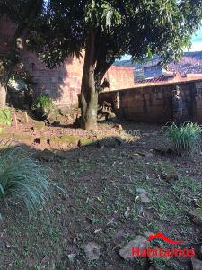 Casa de 5 alcobas en venta en Boston, Medellín, 367 m² · foto 9 de 10