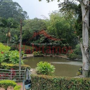 Apartamento de 2 alcobas en arriendo en La Castellana, Medellín, 75 m² · foto 18 de 20
