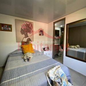Apartamento de 3 alcobas en venta en Santa Ana, Bello, 48 m² · foto 9 de 20