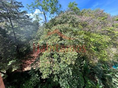 Apartaestudio en arriendo en El Poblado, Medellín · foto 6 de 15