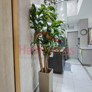 Apartamento de 2 alcobas en venta en El Trianon, Envigado, 70 m² · foto 4 de 13
