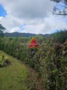 Casa de 4 alcobas en venta en El Escobero, Envigado, 1000 m² · foto 9 de 20