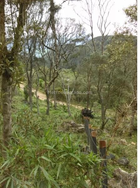 Lote en Venta, LA FLORESTA DE LA SABANA, Bogotá D.C. - Vista 5